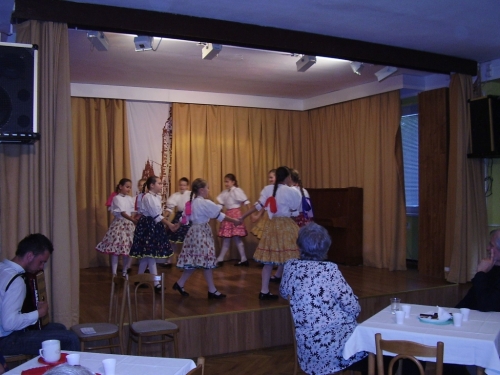 201112081313140.jahodka_07