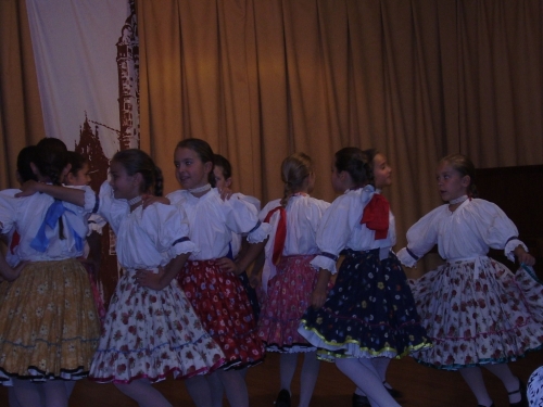 201112081313140.jahodka_09