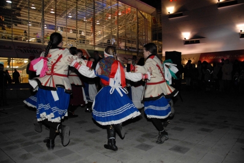 201112201446160.jahodka_2011_01