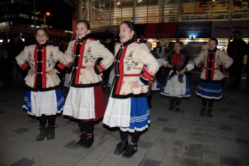 201112201446160.jahodka_2011_02