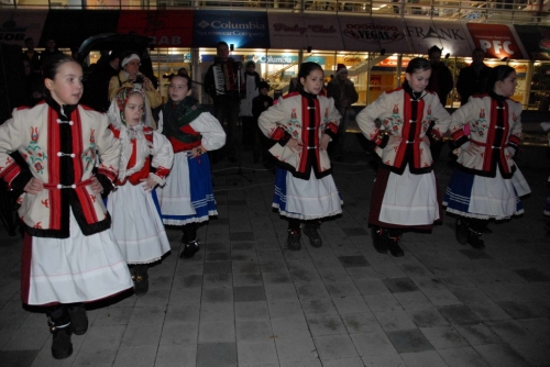 201112201446160.jahodka_2011_03