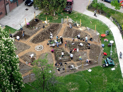 201609080904200.komunitna-zahrada