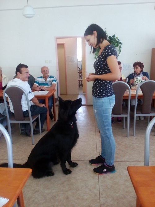 201609211450580.beseda-so-psikmi