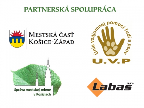 201609211457090.partneri