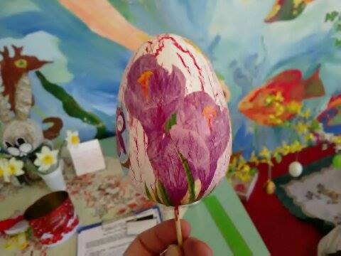 201704131208240.17910755-10208438865471125-1676281239-n