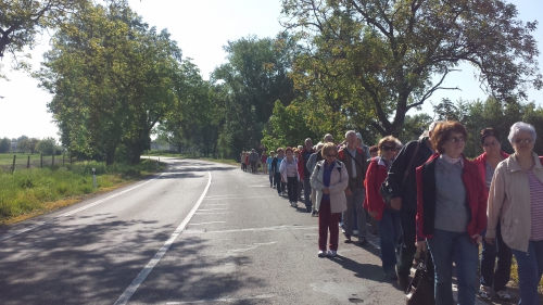 201705231211060.cesta-k-pristavu