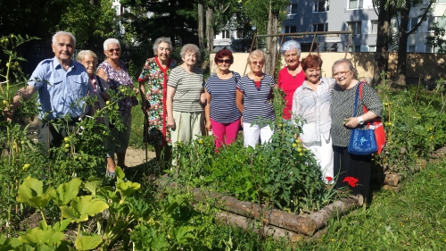 201707261635490.v-komunitnej-zahrade