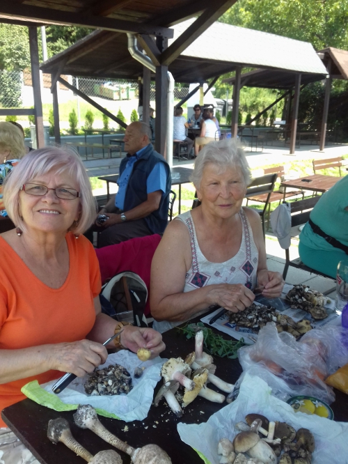 201708081128130.20170719-132909