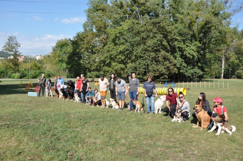 201803211106540.29432488-1698079570238726-5059422284427558912-o