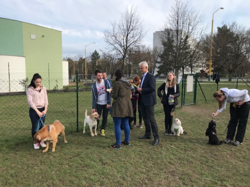 201804090831170.img-1721