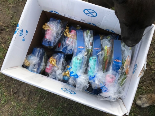 201804090831170.img-1722