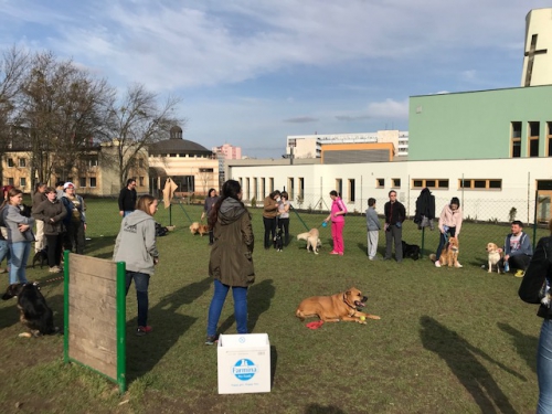 201804090831170.img-1730