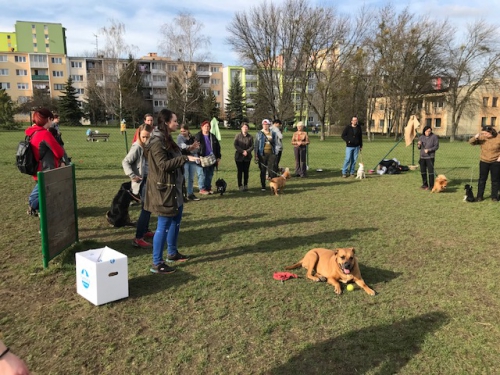 201804090831170.img-1732