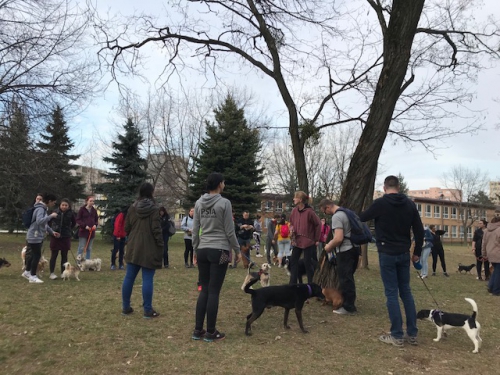 201804090831170.img-1737