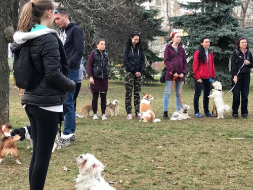 201804090831170.img-1746