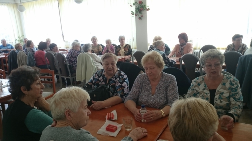 201904110847100.seniori5