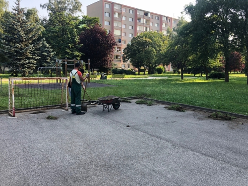 201906281051090.prace-1-ihrisko-safarikova