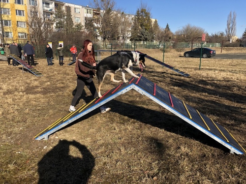 202202191308130.kynologicky-park-petzvalova-02