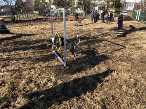 202202191308130.kynologicky-park-petzvalova-03