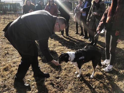 202202191308130.kynologicky-park-petzvalova-06