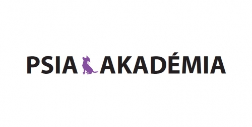 201805221020580.logo-psia-akademia