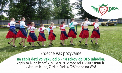 202009041124280.jahodka