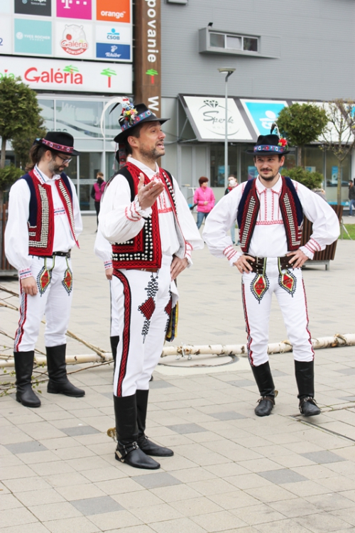 202104300955160.img-4800