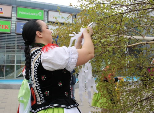 202104300955160.img-4806