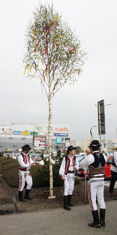 202104300955160.img-4873