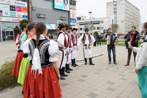 202104300955170.img-4783