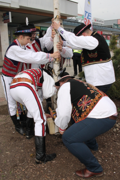 202104300955170.img-4866