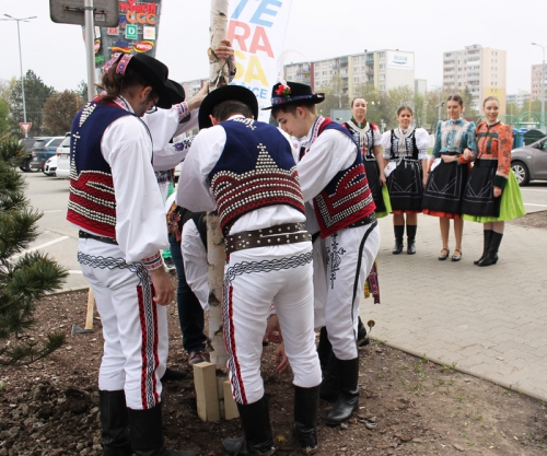 202104300955170.img-4868