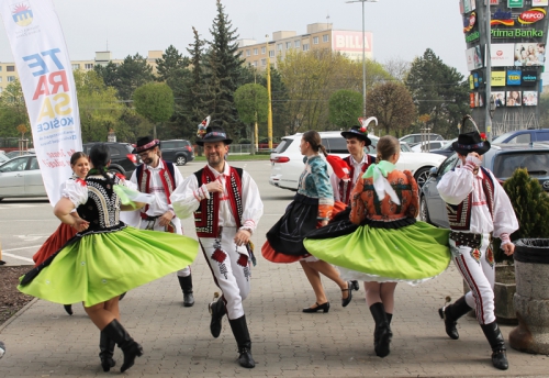 202104300955170.img-4893