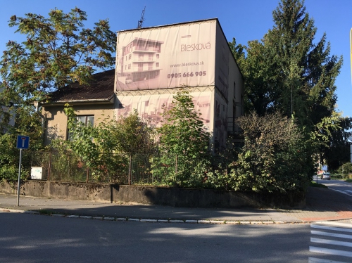 202110051515250.bernolakova-narcisova-02