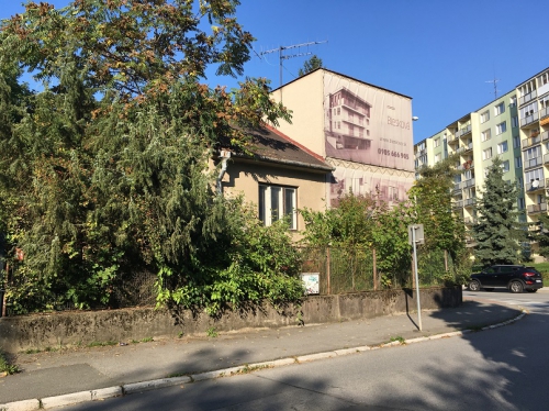 202110051515250.bernolakova-narcisova-03