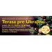Pozývame na Vianočný benefičný koncert „Terasa pre Ukrajinu“ . Na Terase sa bude opäť pomáhať vojnou postihnutej Ukrajine – hudbou, spevom i tancom
