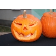 HALLOWEEN na Terase 2022